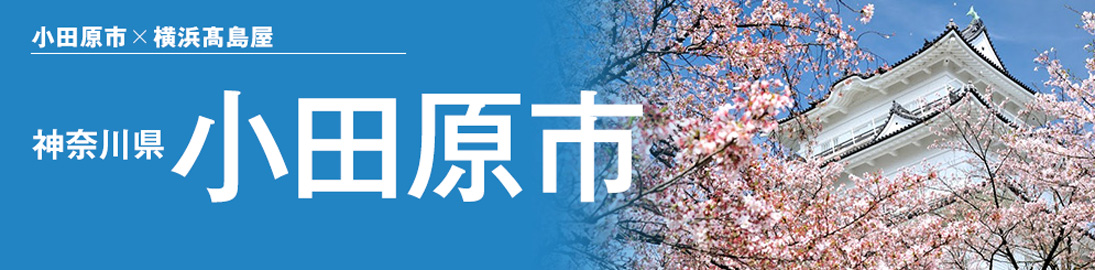 C[W摜