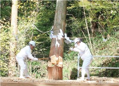 木曽ヒノキ備林(神宮備林)